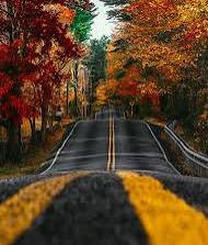 Derya Varcin Derya Varcin