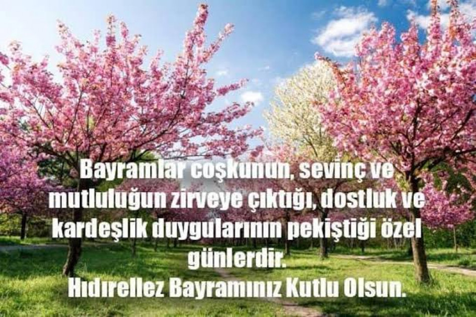 Derya Varcin