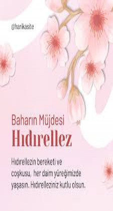 Derya Varcin