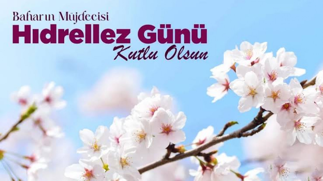 Derya Varcin