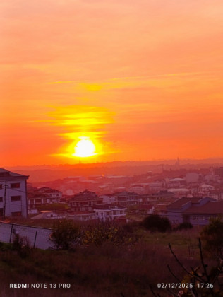 Yunus genç Yunus genç