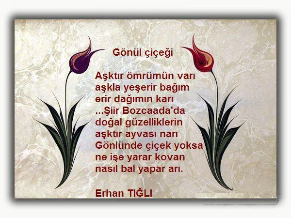 erhan tığlı erhan tığlı