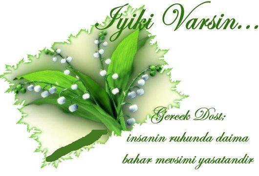 erhan tığlı erhan tığlı