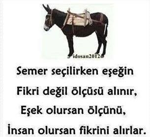 erhan tığlı erhan tığlı