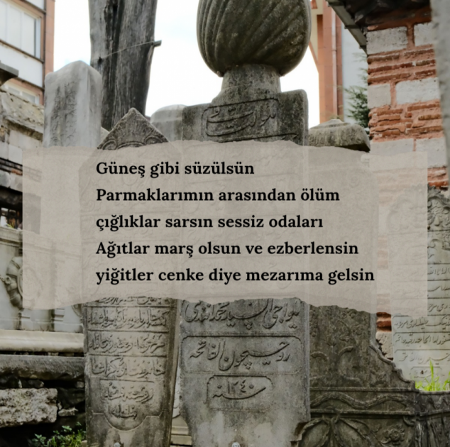 Seher aras Seher aras