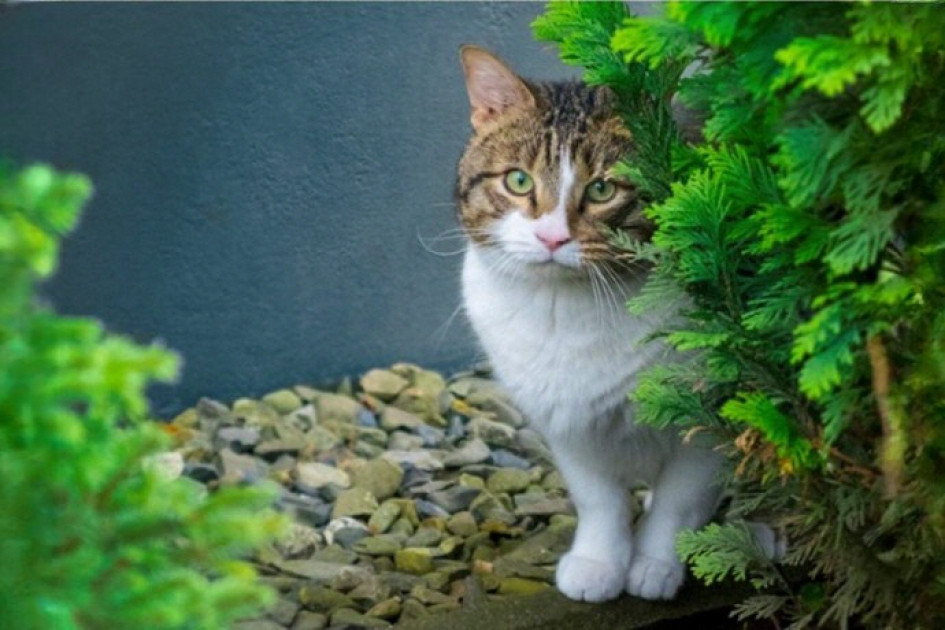 Emre Bağce Emre Bağce