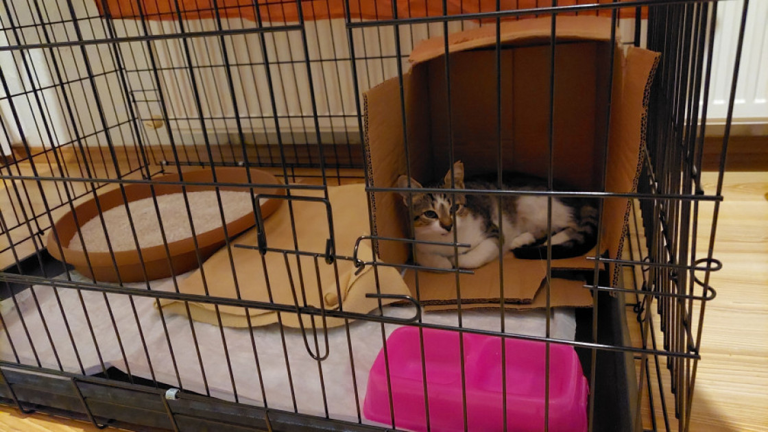 Canan Bağce Canan Bağce