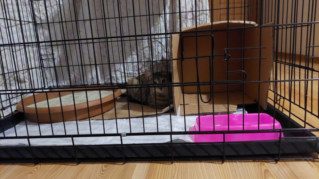 Canan Bağce Canan Bağce