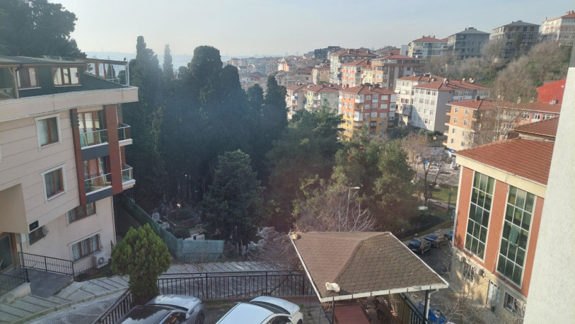 Şirin'in Dünyası Şirin'in Dünyası