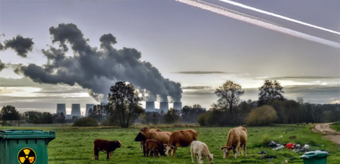 Mesut Koç Mesut Koç