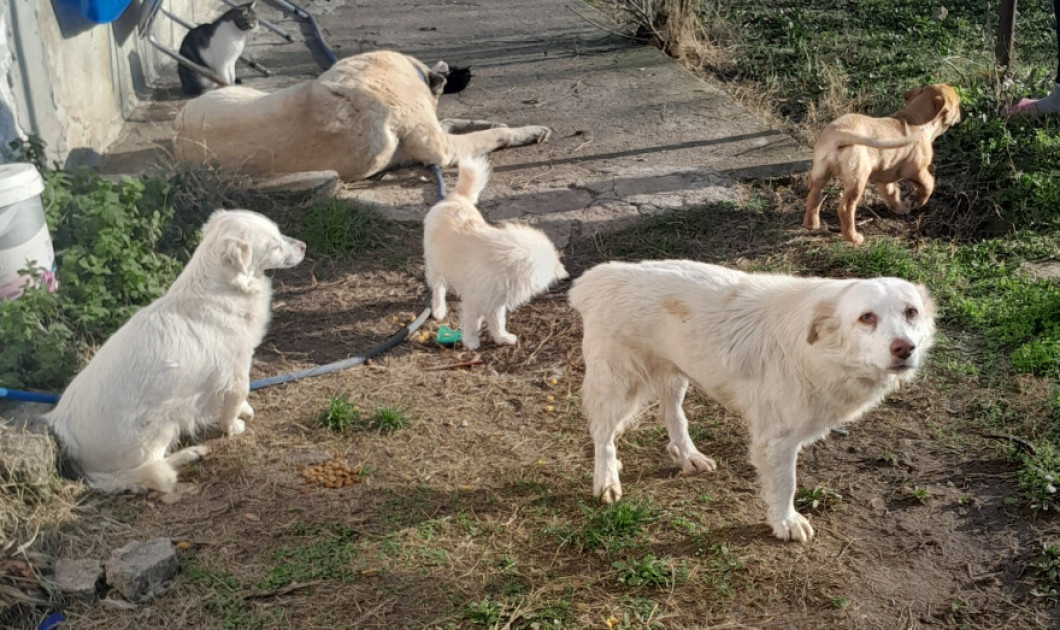 Gizem Karagüzel Gizem Karagüzel