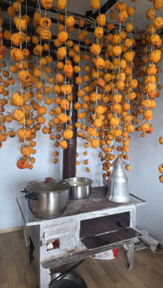 Hasret AKSOY Hasret AKSOY